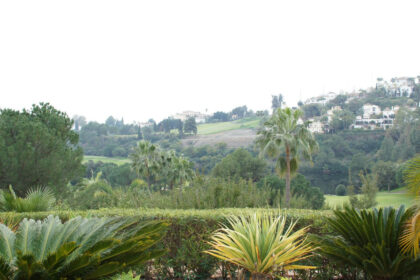 3bd56b18b064109ebcda15ef05789a0a - 22