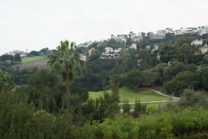 3bd56b18b064109ebcda15ef05789a0a - 24