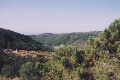 3cba9c086f09e53fa5faedebba36914d - 10