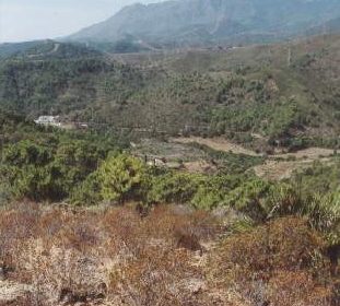 3cba9c086f09e53fa5faedebba36914d - 15