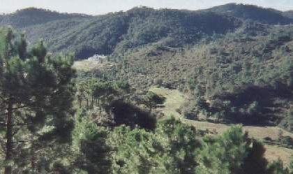 3cba9c086f09e53fa5faedebba36914d - 18