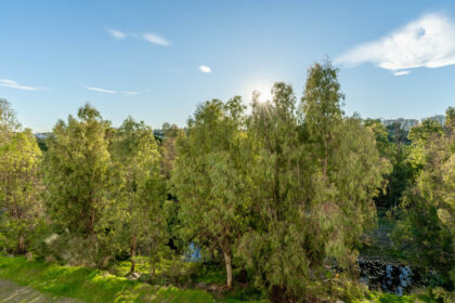 3d0ba6bd2c09b1bf1b25d671efcfd538 - 19