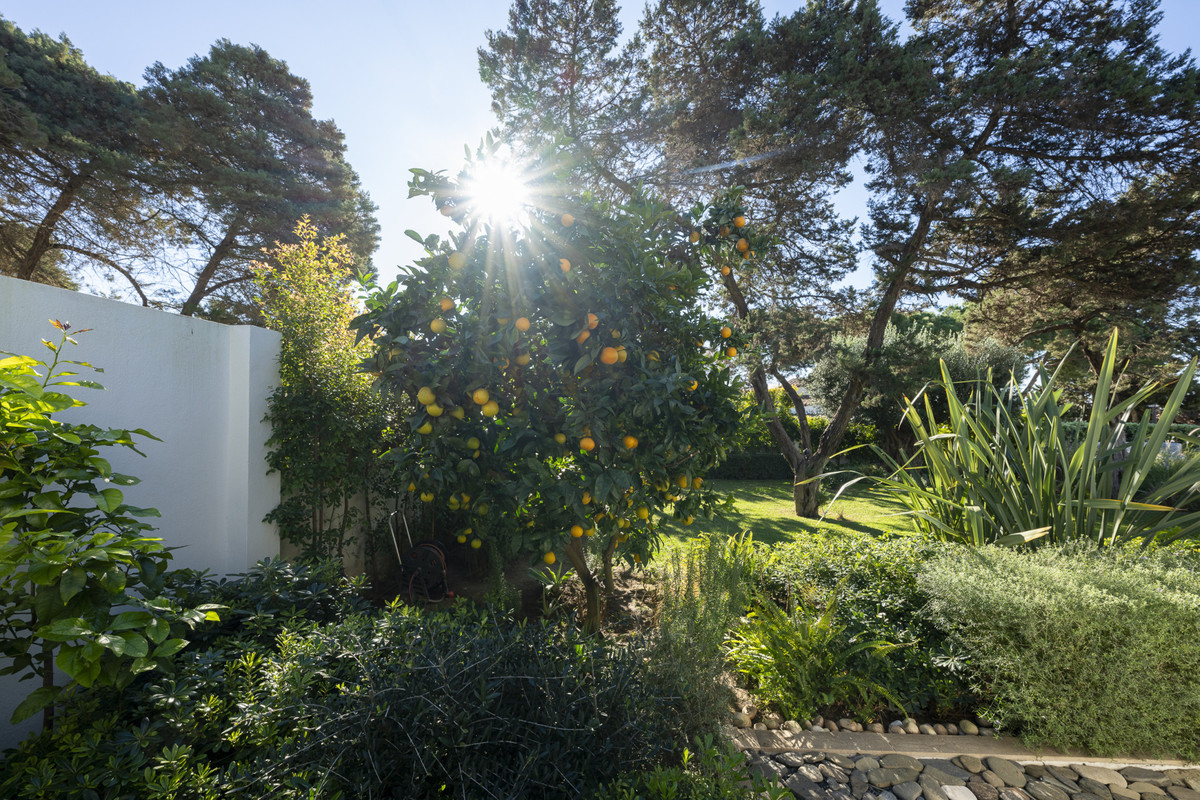 3d139f9e3e9f8c1511490185e2ea855a - 14