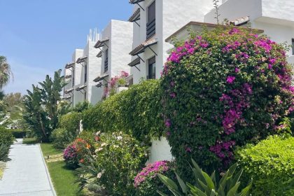 3d3e732e14ac564d5c626214639315d2 - 25