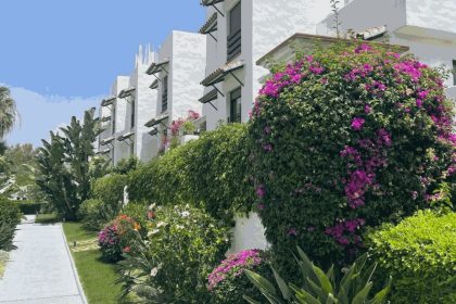 3d3e732e14ac564d5c626214639315d2 - 27