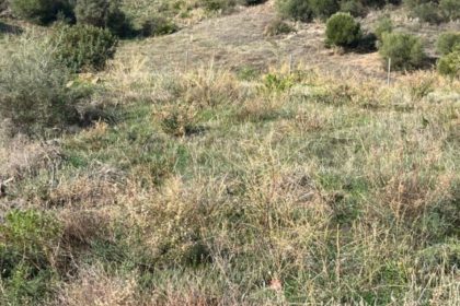 3f42d75a602ef1c82e326f4996181558 - 1