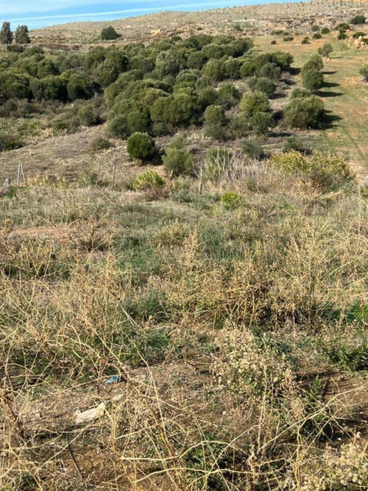 3f42d75a602ef1c82e326f4996181558 - 2