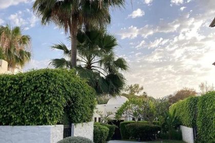 42b556f1977039d3efc9f5f9cc8b084a - 22