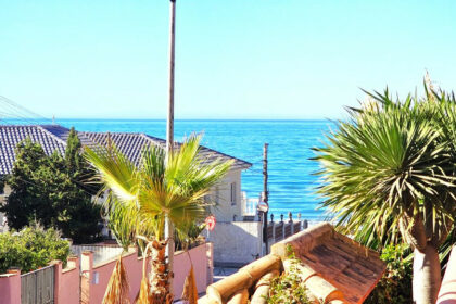 4354e849fc5d9ec96c7d461ae42ec13c - 29