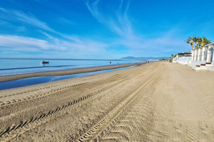 4354e849fc5d9ec96c7d461ae42ec13c - 35