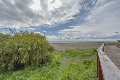 44421e586f2f7522f1104a30a0b4e06e - 3