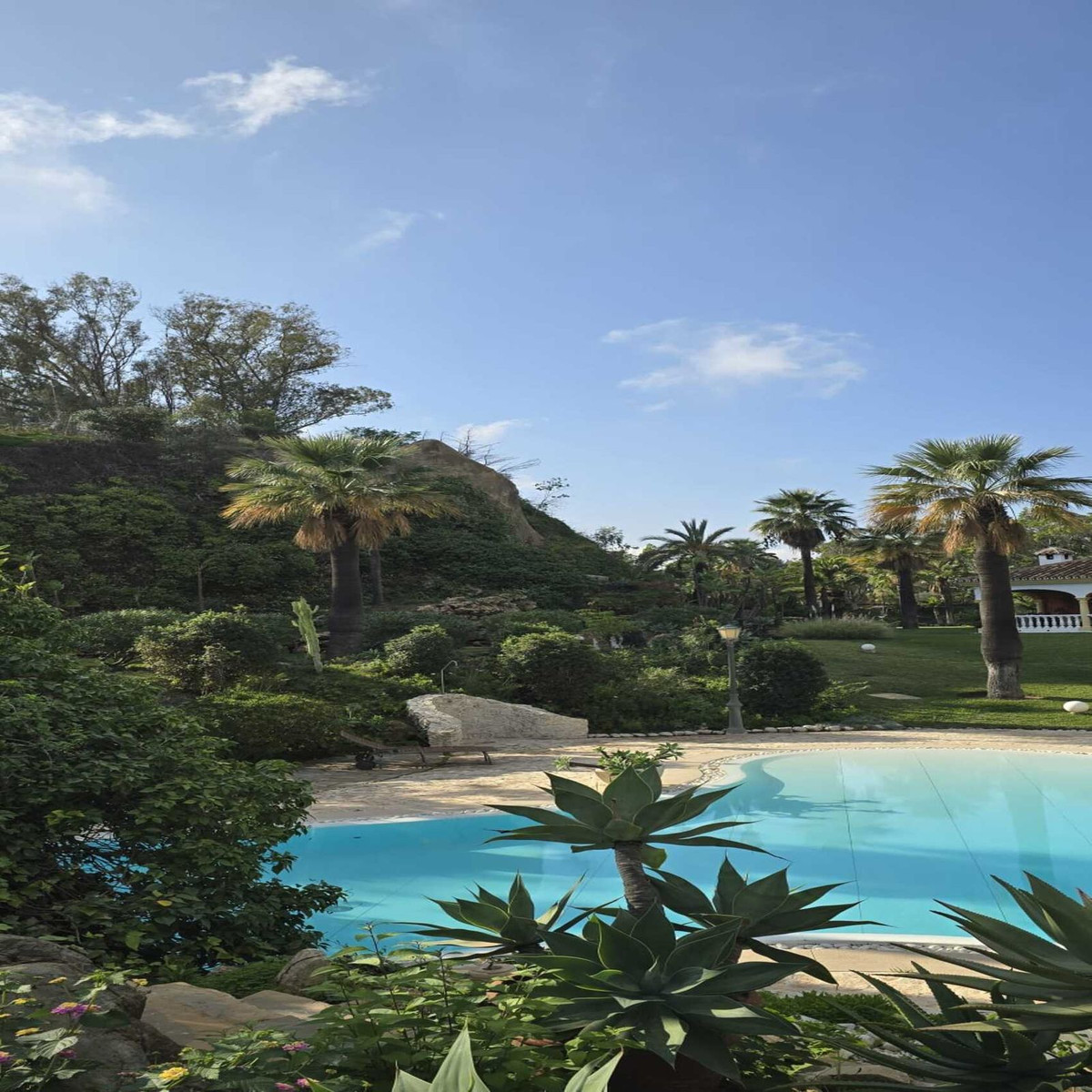 458d9eb83c4e7d83c99ca60f2dafad54 - 26