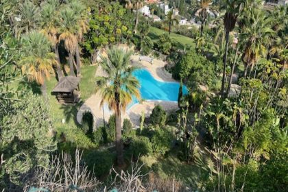 458d9eb83c4e7d83c99ca60f2dafad54 - 29