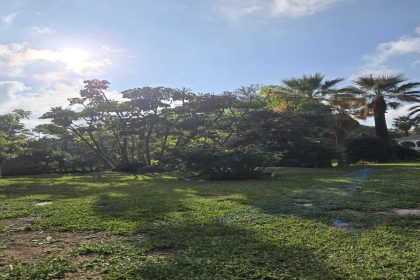 458d9eb83c4e7d83c99ca60f2dafad54 - 32