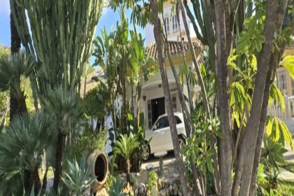 458d9eb83c4e7d83c99ca60f2dafad54 - 33