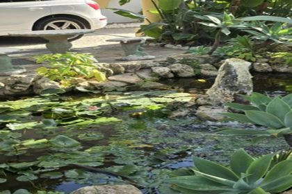 458d9eb83c4e7d83c99ca60f2dafad54 - 34