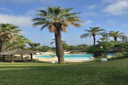 458d9eb83c4e7d83c99ca60f2dafad54 - 35