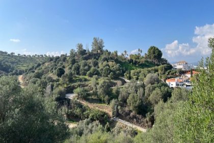 458d9eb83c4e7d83c99ca60f2dafad54 - 37