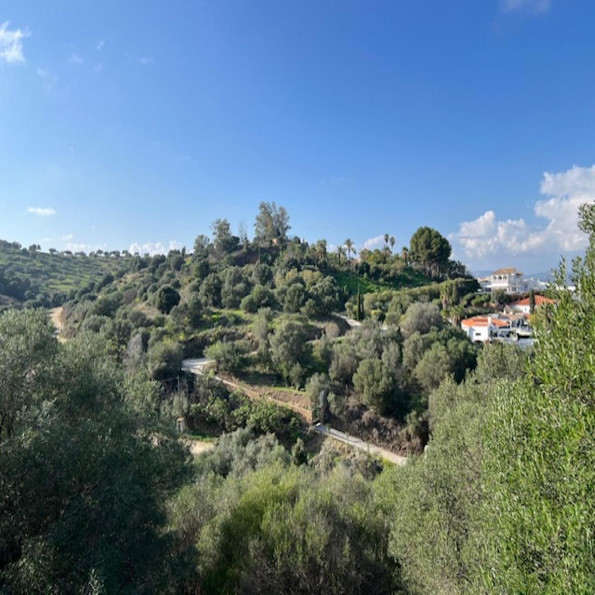 458d9eb83c4e7d83c99ca60f2dafad54 - 37