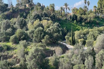 458d9eb83c4e7d83c99ca60f2dafad54 - 38