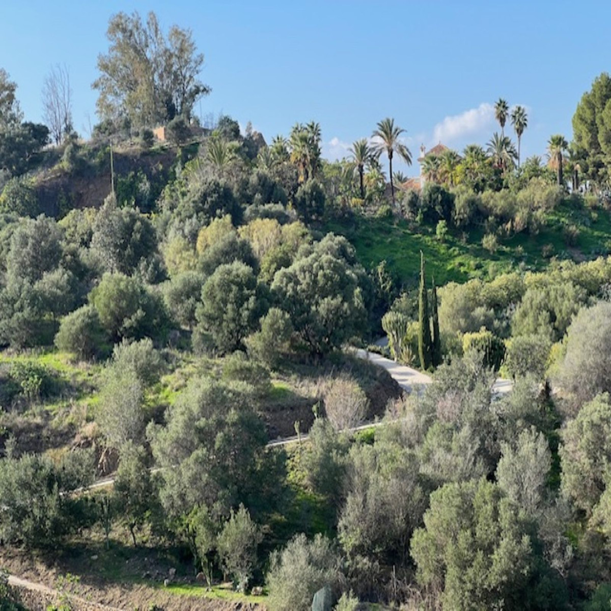 458d9eb83c4e7d83c99ca60f2dafad54 - 38