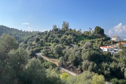 458d9eb83c4e7d83c99ca60f2dafad54 - 39