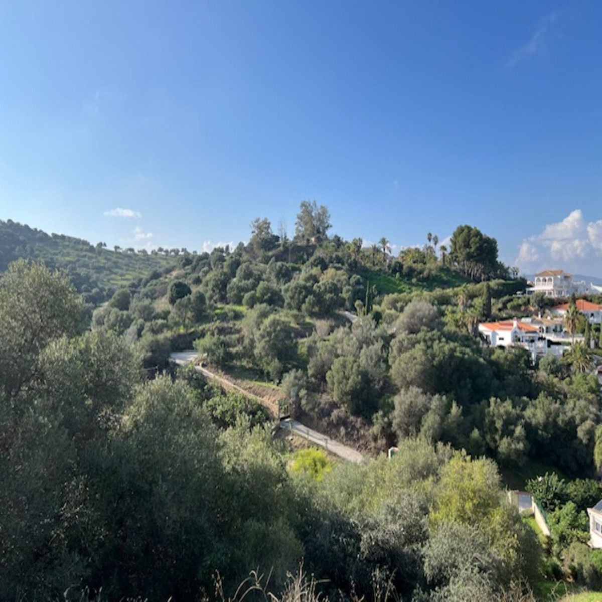 458d9eb83c4e7d83c99ca60f2dafad54 - 39