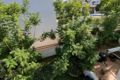 46f744669a6efe9c99b0c8455791997f - 24