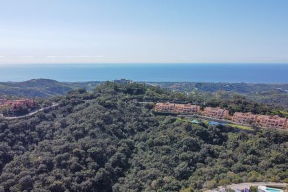 4875eea78a7873417432339ac63ccd61 - 33