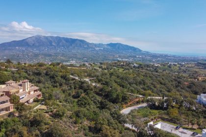 4875eea78a7873417432339ac63ccd61 - 36