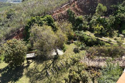 4a381784a85d02b85d8d19d9f1f497c0 - 31