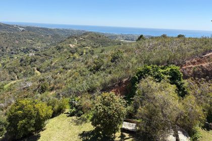 4a381784a85d02b85d8d19d9f1f497c0 - 34