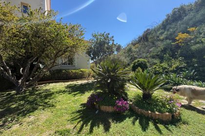 4a381784a85d02b85d8d19d9f1f497c0 - 50