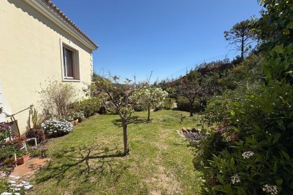 4a381784a85d02b85d8d19d9f1f497c0 - 63