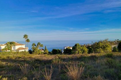 4aaa0c20571154a8c2459036b8d10f4f - 1