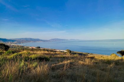 4aaa0c20571154a8c2459036b8d10f4f - 10