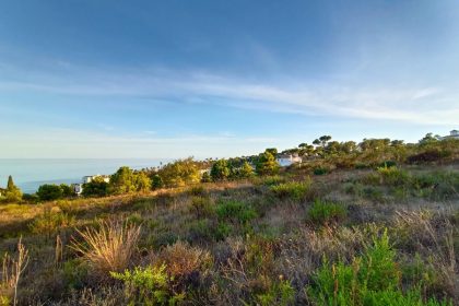 4aaa0c20571154a8c2459036b8d10f4f - 4