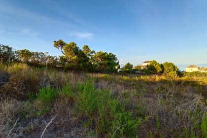 4aaa0c20571154a8c2459036b8d10f4f - 6