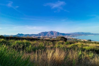 4aaa0c20571154a8c2459036b8d10f4f - 8