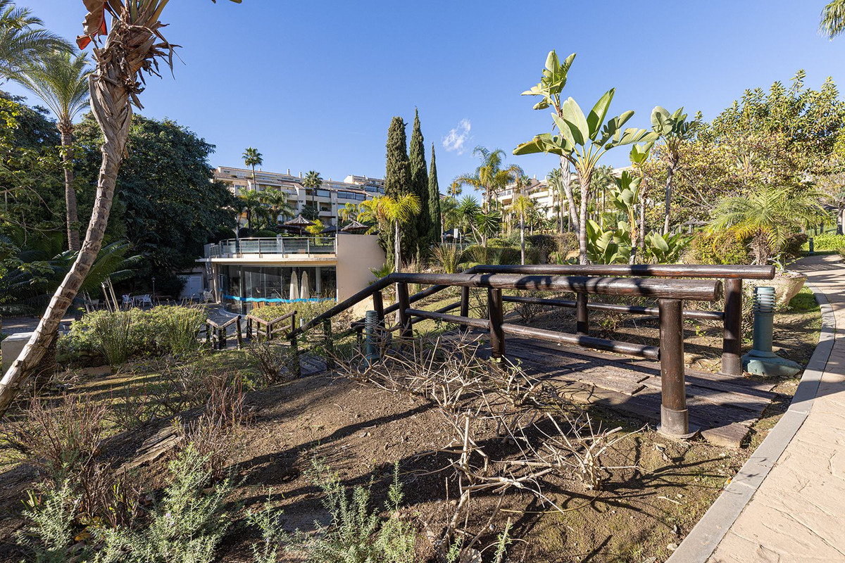 4aebc250d797dc6eff6a158a70b898a3 - 24