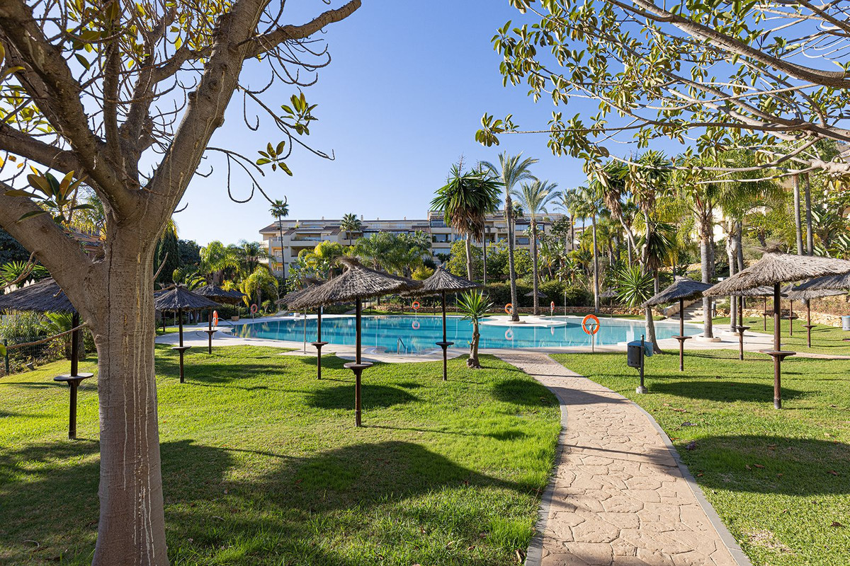 4aebc250d797dc6eff6a158a70b898a3 - 26