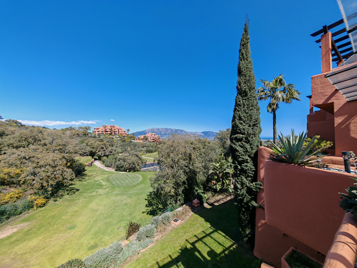 4b0ee9107a1b9c4d2c920aea57369169 - 24