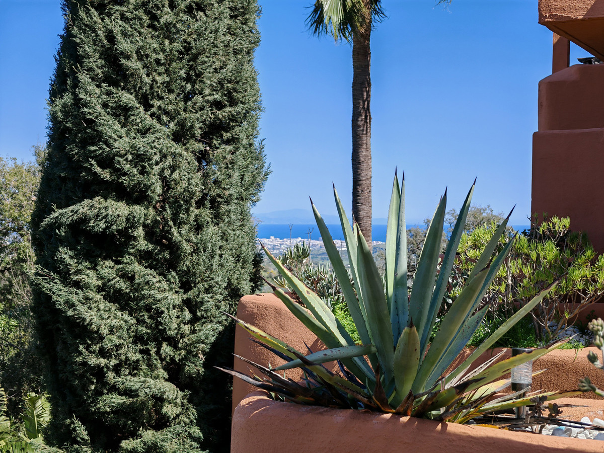 4b0ee9107a1b9c4d2c920aea57369169 - 25