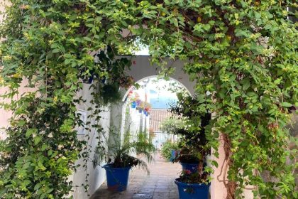 4d191fd2f6427f40965379875576ec85 - 26