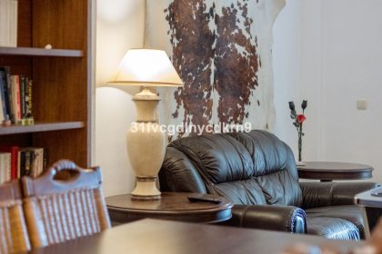 4de3887d7cc9b8e72ab418dbf297265e - 29