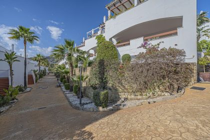 4e798662bd135eb8257d2fcfc35c8226 - 17