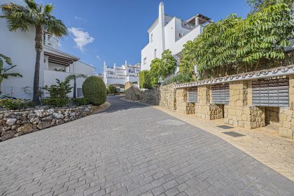 4e798662bd135eb8257d2fcfc35c8226 - 19