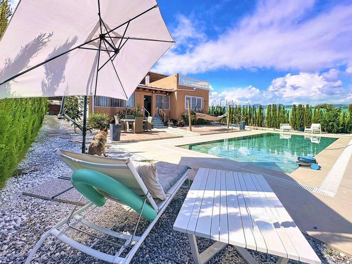 51c72898b720641bb000b6277dae36df - 29