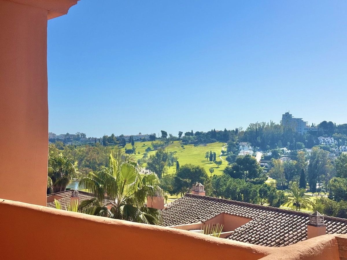 52ab8ecb5a34ba108bd7b264fa150681 - 24