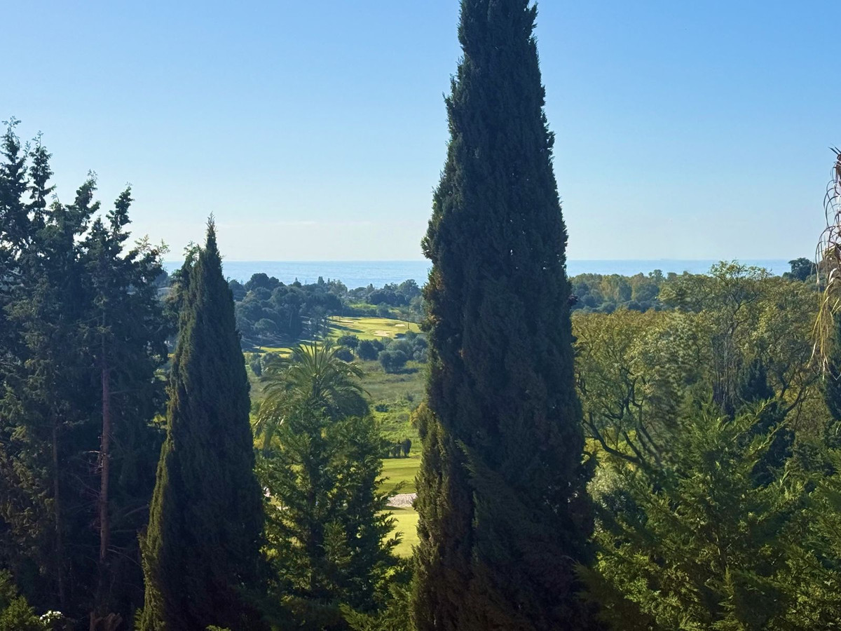 52ab8ecb5a34ba108bd7b264fa150681 - 7